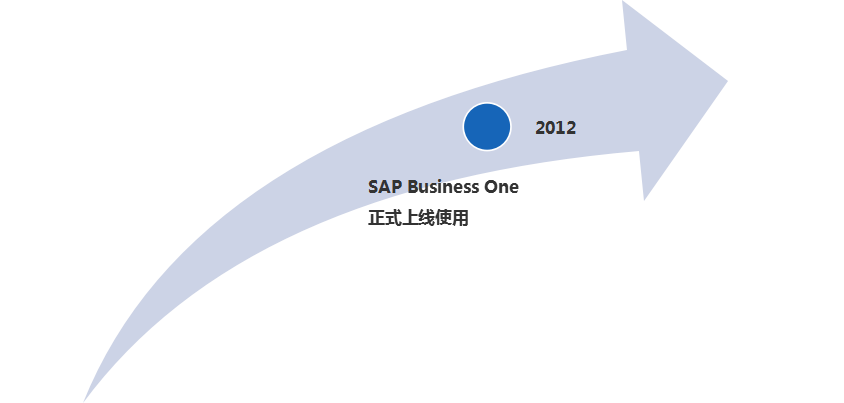SAP工程塑料行業ERP系統